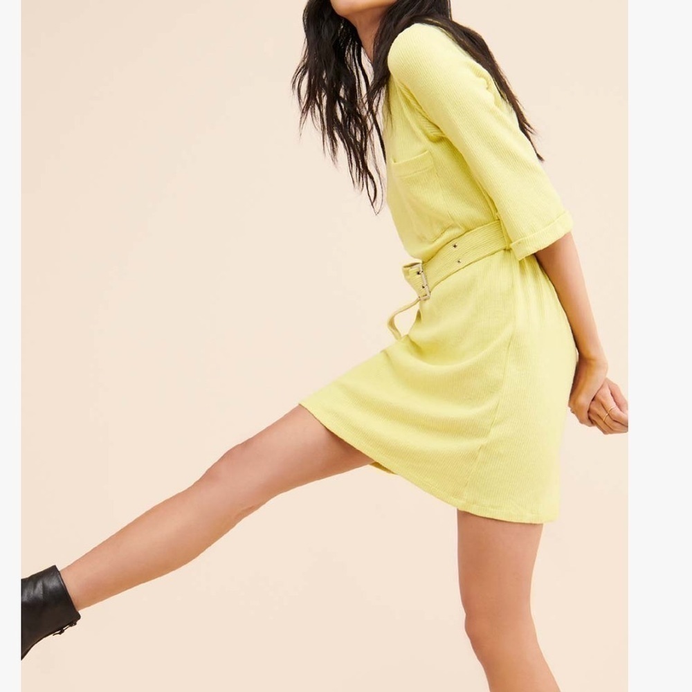 Line And Dot Rib Knit Bright Belted Shift Dress Size M